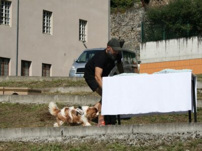 UNITÉ POUR MALADES DIFFICILES